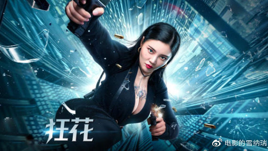 爱许兰大学degree